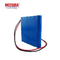 Wasserdichter Lithium-Batterie-Satz MOTOMA 22.2V 4400mAh für Spaziergänger des Baby-E
